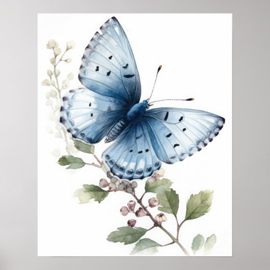 Holly Blue Butterfly Art Print Poster (Voorkant)