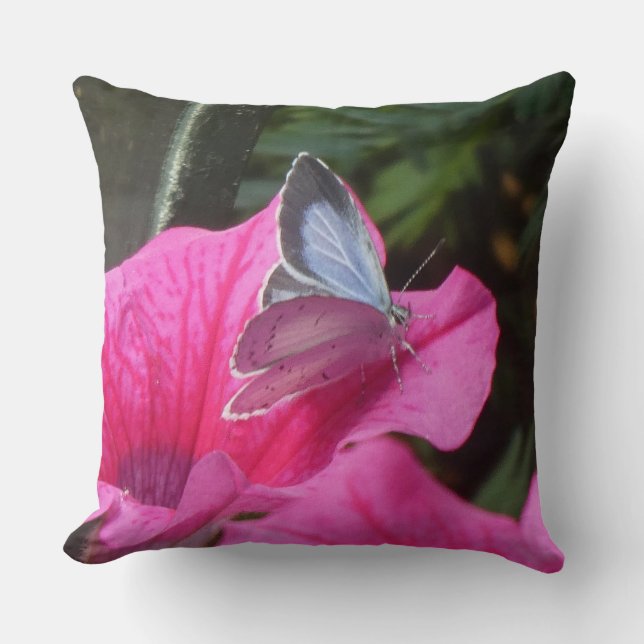 Holly Blue Butterfly on Pink Flower Throw Pillow Kussen (Voorkant)