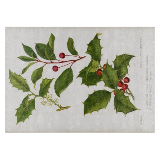 Holly Botanical Illustration Kerstmis Snijplank (Voorkant)