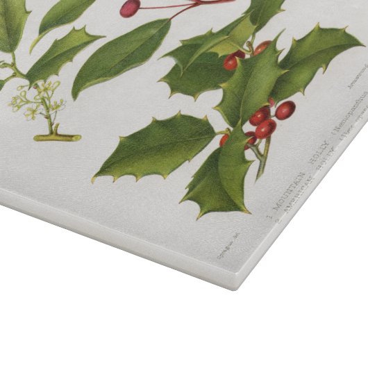 Holly Botanical Illustration Kerstmis Snijplank (Hoek)