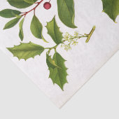 Holly Botanical Illustration Kerstmis Tissuepapier (Detail)