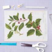 Holly Botanical Illustration Kerstmis Tissuepapier (Craft)