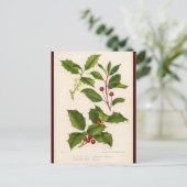 Holly Botanische Illustratie Kerst Briefkaart (Staand voorkant)