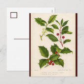 Holly Botanische Illustratie Kerst Briefkaart (Voorkant / Achterkant)