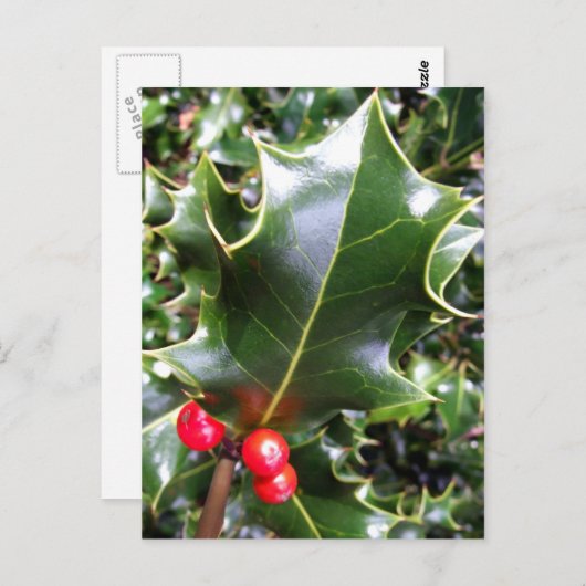 Holly Briefkaart (Voorkant / Achterkant)