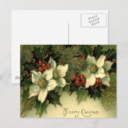 Holly Briefkaart (Voorkant / Achterkant)