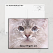 Holly Briefkaart (Voorkant / Achterkant)