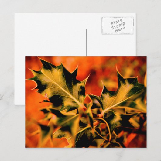 Holly Briefkaart (Voorkant / Achterkant)