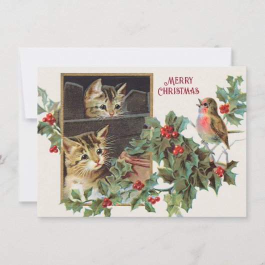  Holly Cats en vogelkerst Feestdagenkaart (Voorkant)