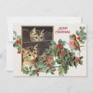 Holly Cats en vogelkerst Feestdagenkaart