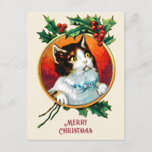 Holly Cute Cat Christmas Feestdagenkaart