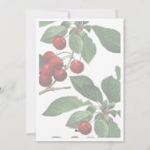 Holly Days | Vrolijk Kerstfeest Foto Vakantie Kaar Feestdagenkaart (Achterkant)