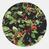 Holly en Berries Stickers (Voorkant)