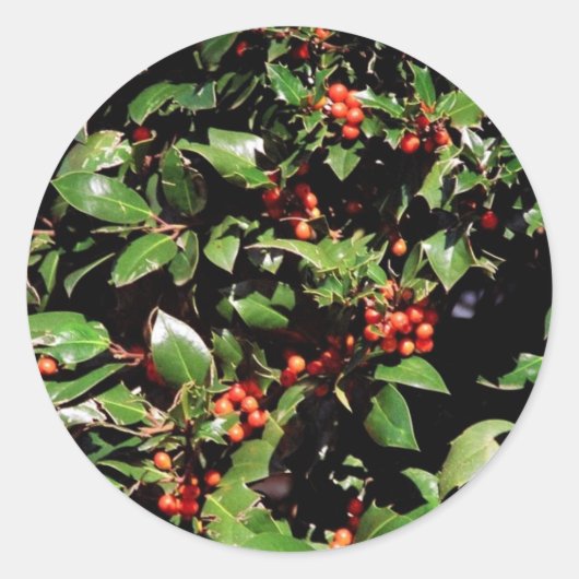 Holly en Berries Stickers (Voorkant)