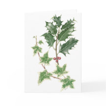 Holly en Ivy Springs in botanische aquarel