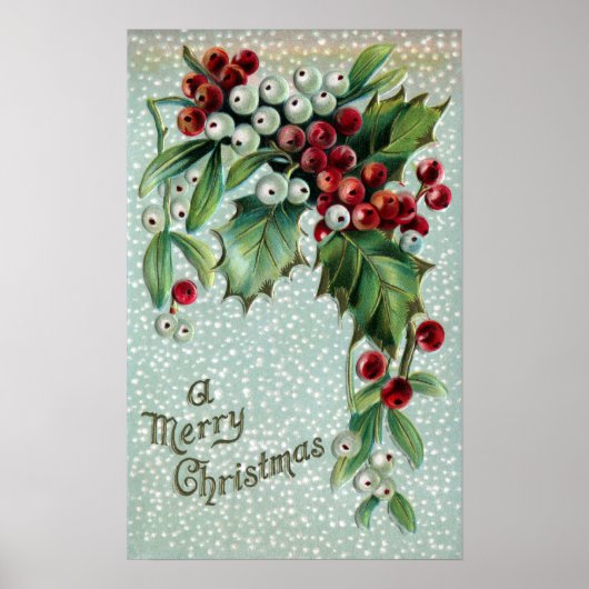 Holly en Mistletoe Berries Poster (Voorkant)
