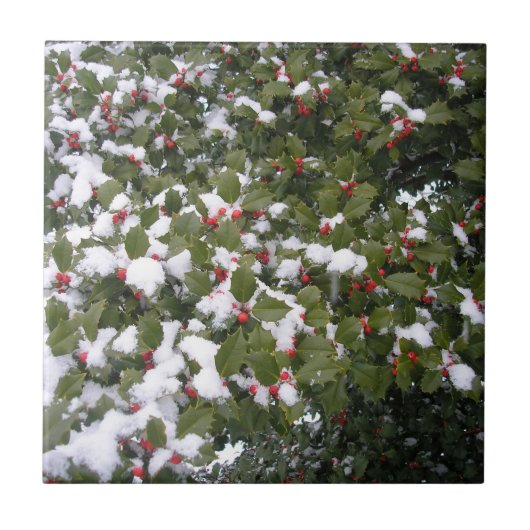Holly en Snow Tegeltje (Voorkant)