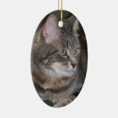 Holly Eyeing Iets Ornament (Rechts)