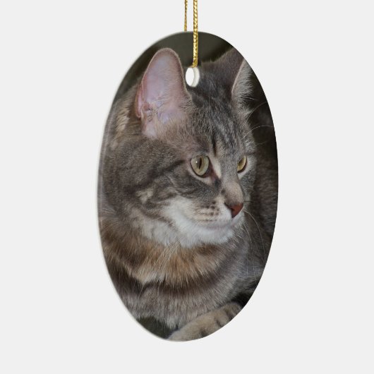 Holly Eyeing Iets Ornament (Rechts)