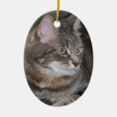 Holly Eyeing Iets Ornament (Voorkant)