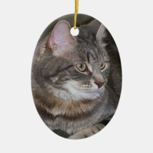 Holly Eyeing Iets Ornament (Voorkant)