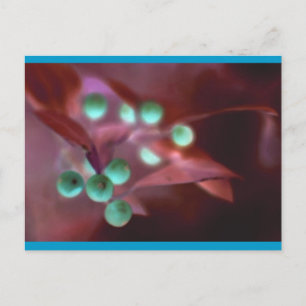 Holly Feestdagenkaart