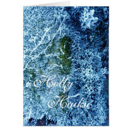 Holly Haiku