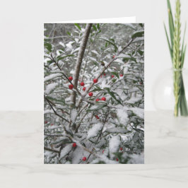 "Holly in the snow" greeting card. Feestdagen Kaart