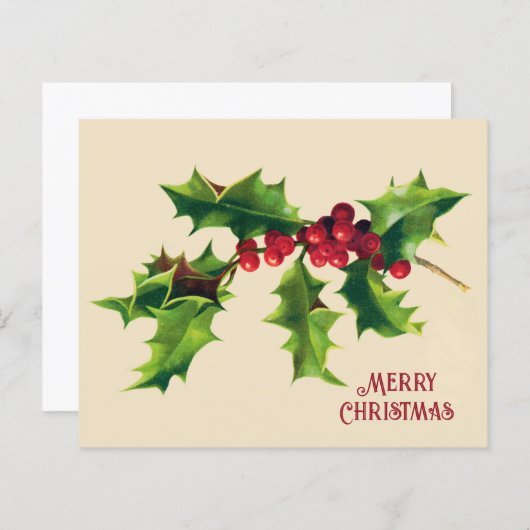 Holly kerstgroet (Voorkant / Achterkant)