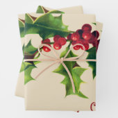  Holly kerstgroet Inpakpapier Vel (In situ)