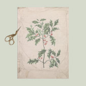  Holly Kerstmis - Wronkst Aged Aged Tissuepapier