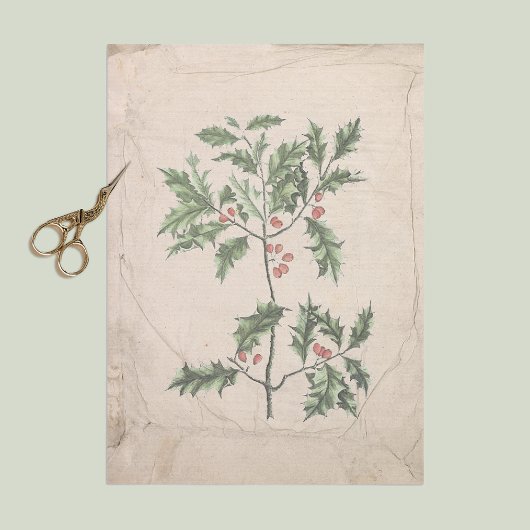  Holly Kerstmis - Wronkst Aged Aged Tissuepapier