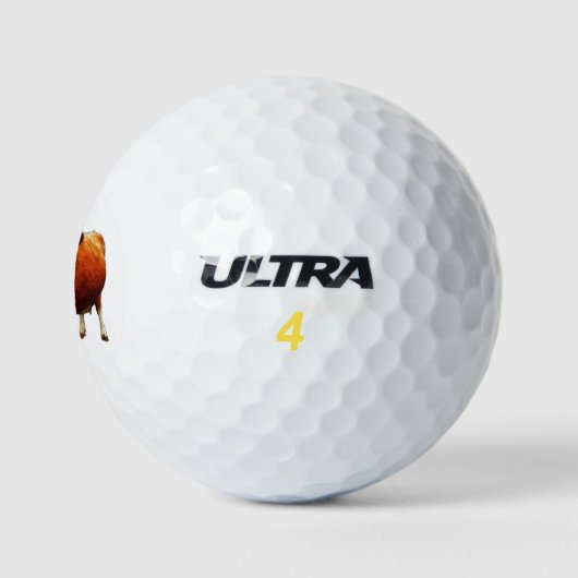Holly Koe GOLF BALLS Golfballen (Logo)