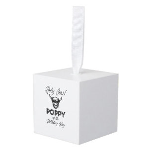 Holly Koe Poppy van de Birthday Boy Highland Koe 1 Decoratie