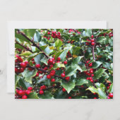Holly leaves and Berries Feestdagenkaart (Voorkant)