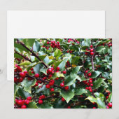 Holly leaves and Berries Feestdagenkaart (Voorkant / Achterkant)