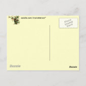 Holly Leaves Briefkaart (Achterkant)