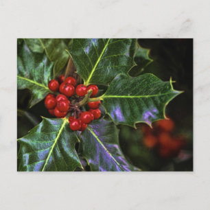 Holly Leaves en Berries Briefkaart