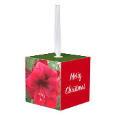 Holly Leaves en Red Amaryllis Holiday Decoratie (Achter hoekig)
