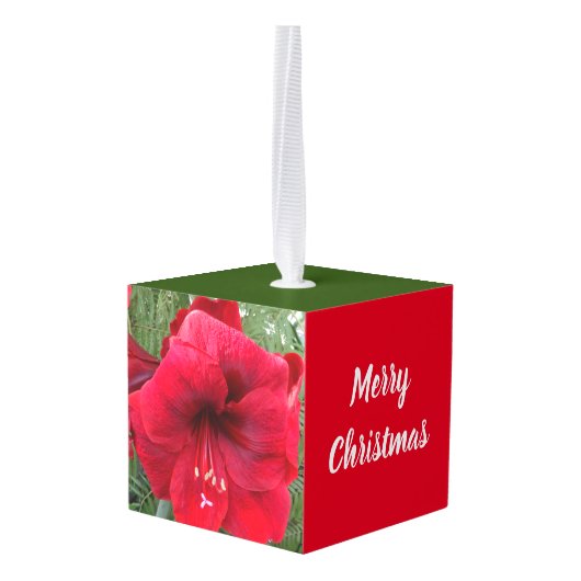 Holly Leaves en Red Amaryllis Holiday Decoratie (Achter hoekig)