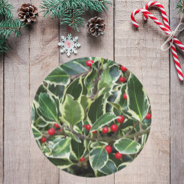Holly Leaves en Red Berries Holiday Papieren Bordje