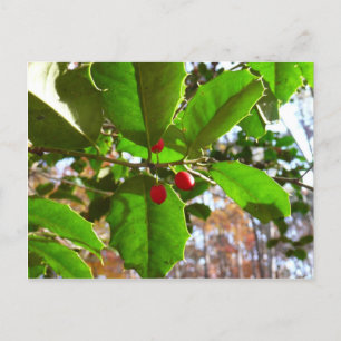 Holly Leaves II Holiday Nature Botanical Feestdagenkaart
