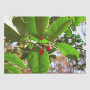Holly Leaves II Holiday Nature Botanical Tissuepapier