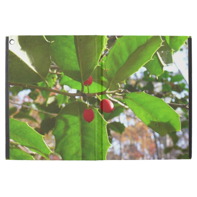 Holly Leaves II Holiday Natuur Botanisch (Buitenkant)