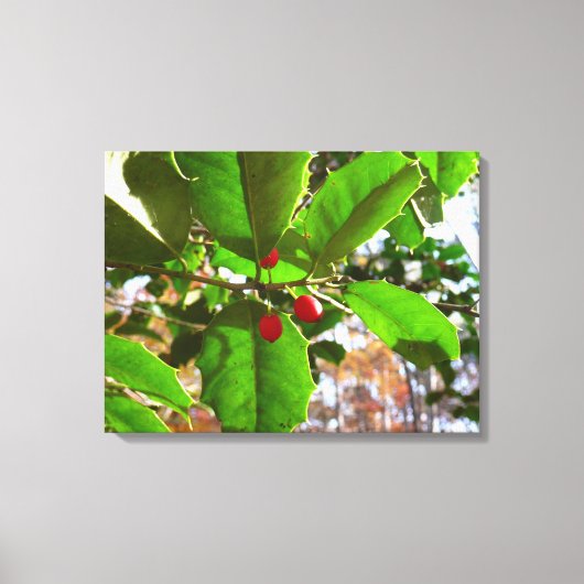 Holly Leaves II Holiday Natuur Botanisch Canvas Afdruk (Voorkant)