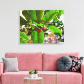 Holly Leaves II Holiday Natuur Botanisch Canvas Afdruk (Insitu (Woonkamer))