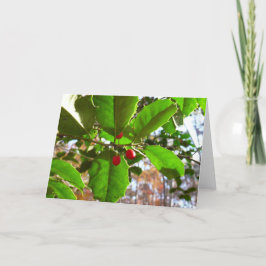 Holly Leaves II Holiday Natuur Botanisch Feestdagen Kaart