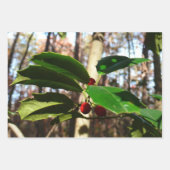 Holly Leaves II Holiday Natuur Botanisch Inpakpapier Vel (Voorkant 3)