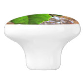 Holly Leaves II Holiday Natuur Botanisch Keramische Knop (Zijkant)