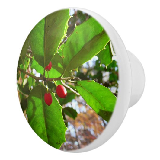 Holly Leaves II Holiday Natuur Botanisch Keramische Knop (Rechts)